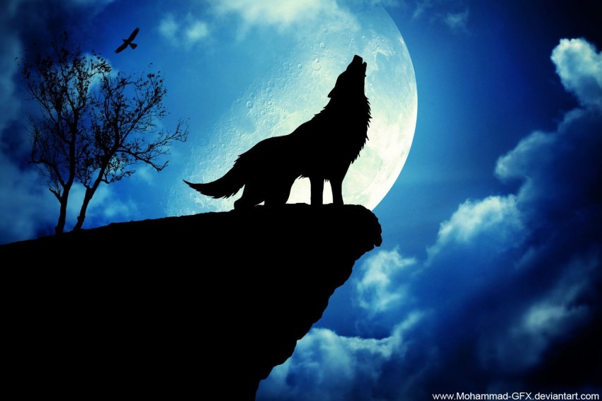 Wolf Moon Background Full HD Wallpaper Download