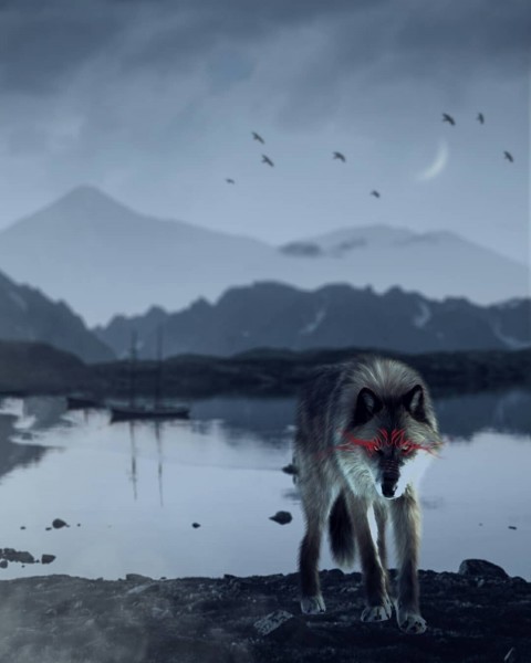 Wolf PicsArt Editing Background HD Download