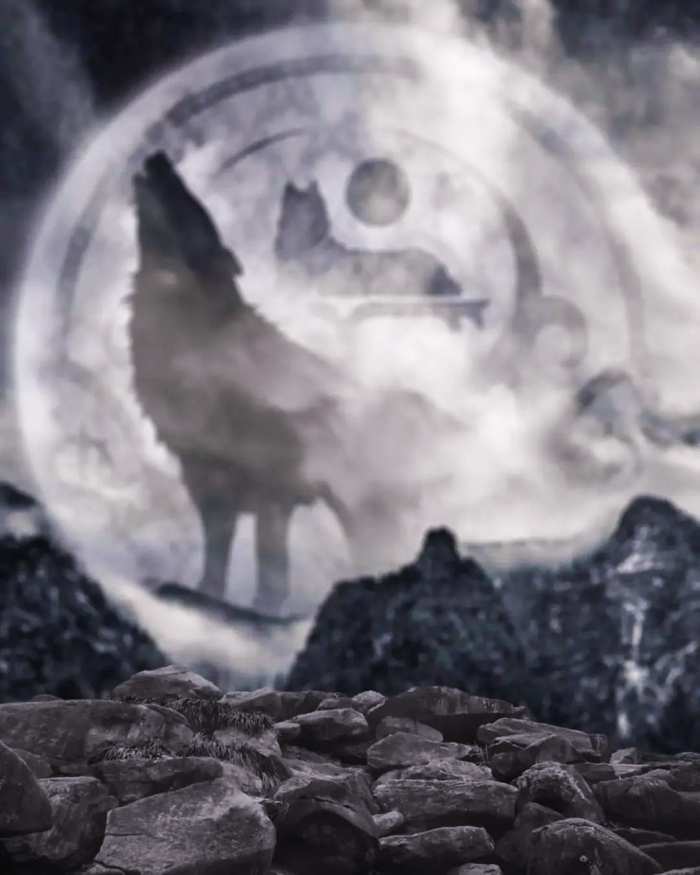 Wolf Rock Photo Editing Background Free Download