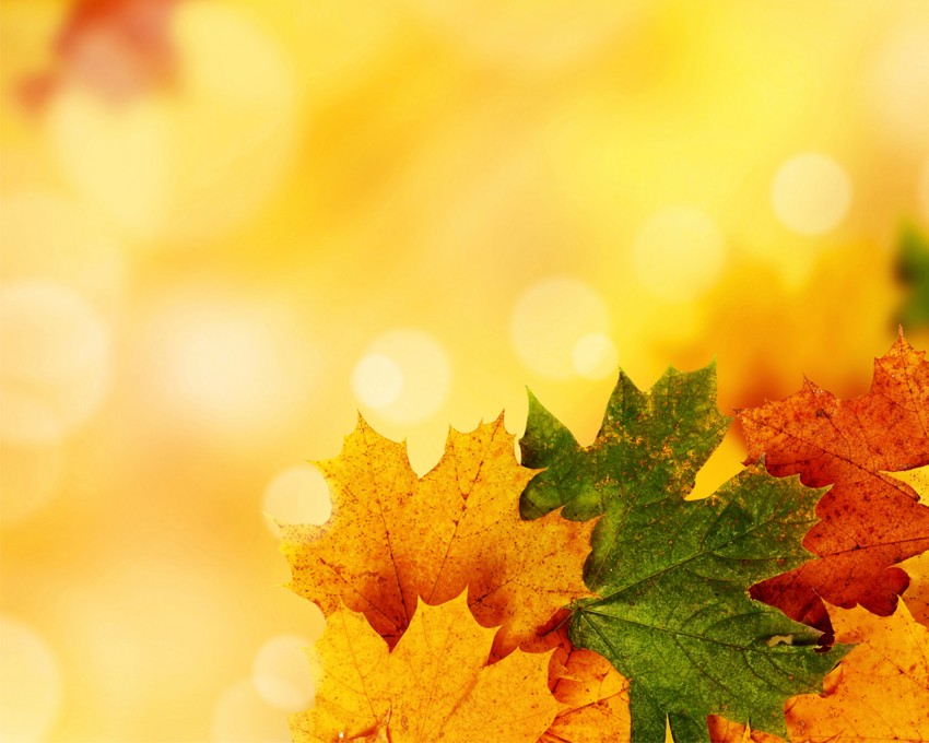 Yellow Autumn background image use PowerPoint