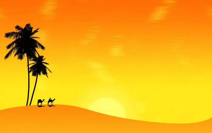 Yellow Beach Coconut Tree Background HD Wallpapers