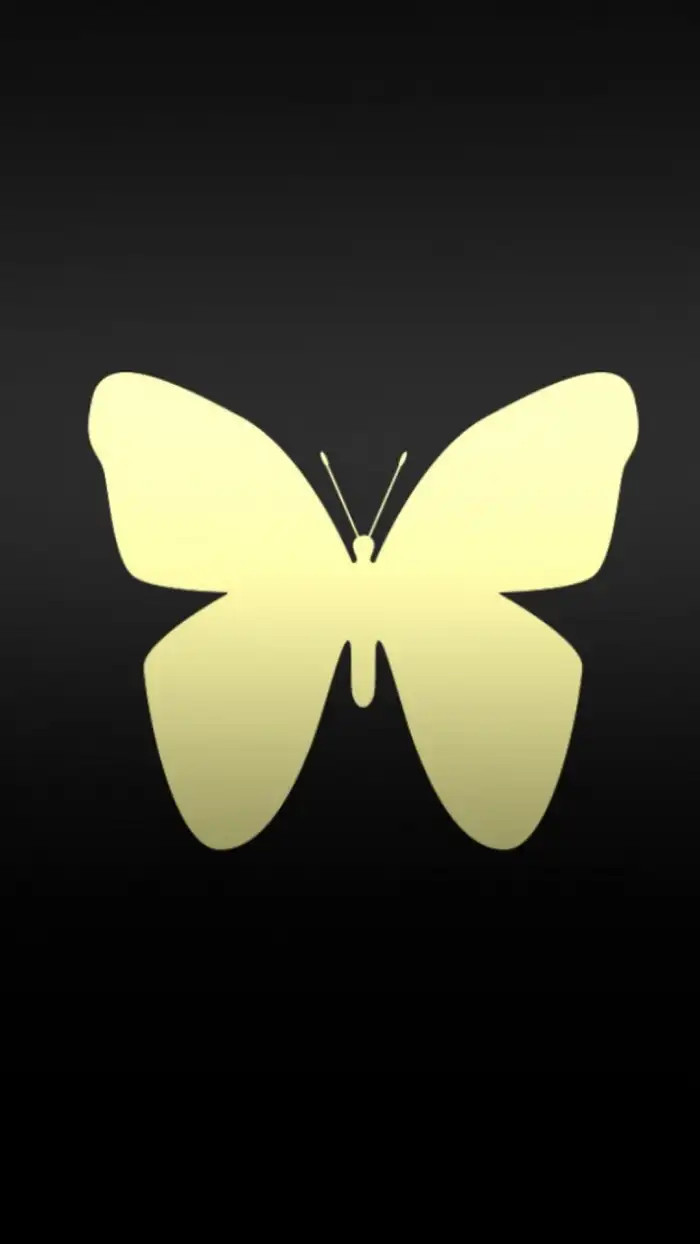 Yellow Butterfly t With A Black Background