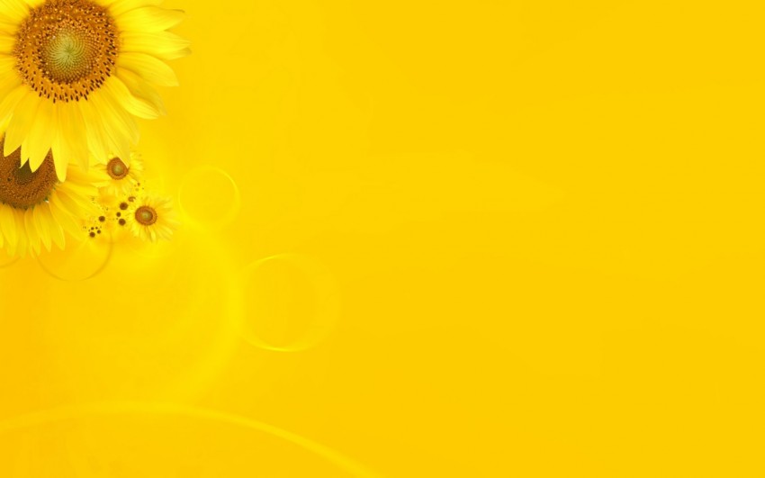 Yellow PowerPoint Background With Sunflowers