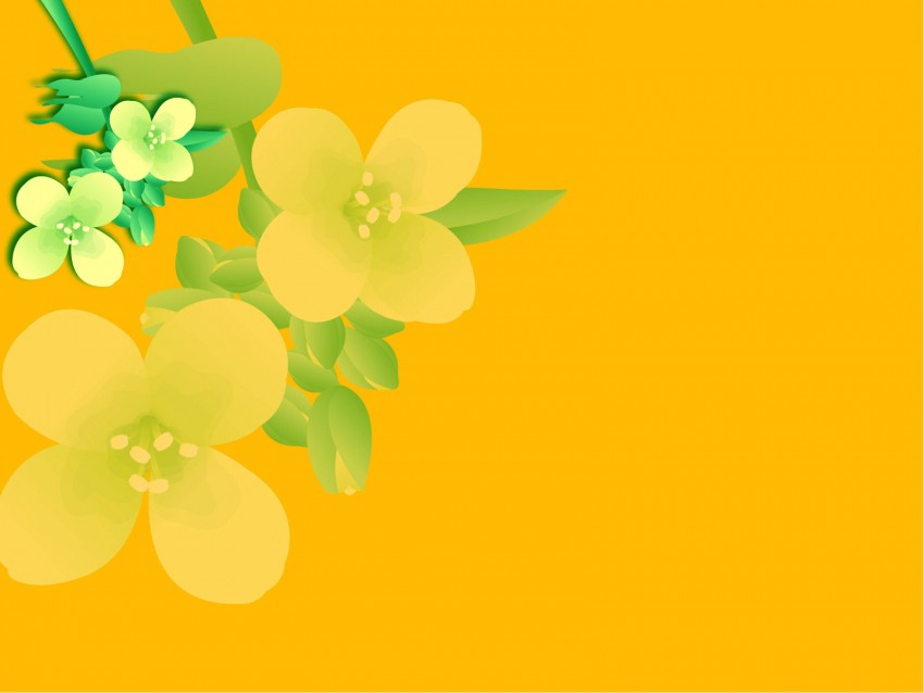 Yellow PowerPoint PPT Templates With Flowers  Background