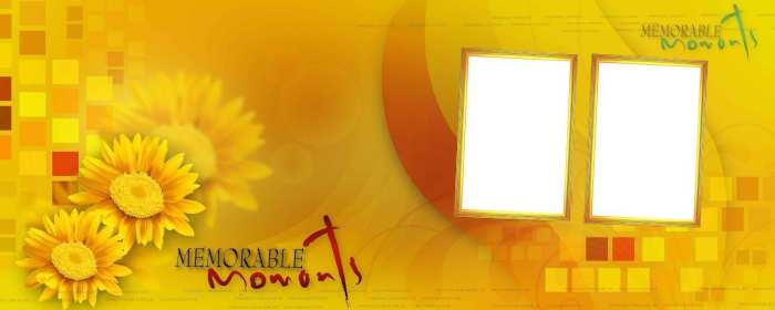 Yellow Sunflower Album Wedding Plain Background