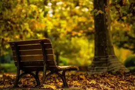 Alone Chair HD Background Wallpaper Pic