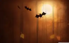 Bat Halloween Wallpaper Background HD