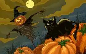 Bat Halloween Wallpaper Background HD