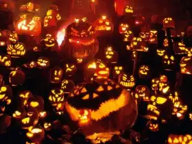 Halloween Pumpkin HD Wallpaper Background