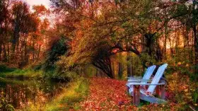 Lawn Chair Nature HD Background Wallpaper Download