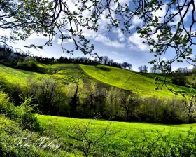 Cover Photo of Spring Field Background